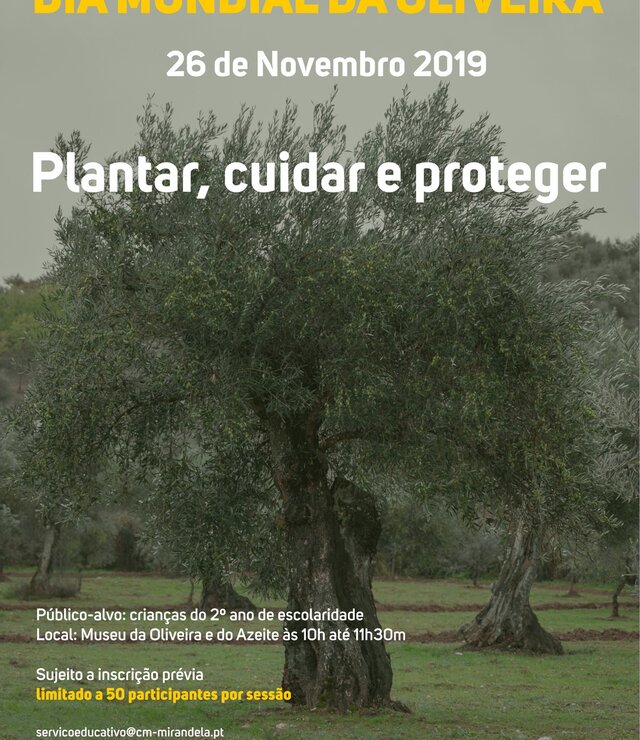 cartaz__dia_mundial_da_oliveira_2019