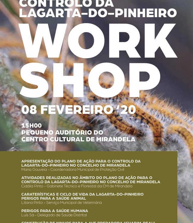 workshop___lagarta_de_pinheiro