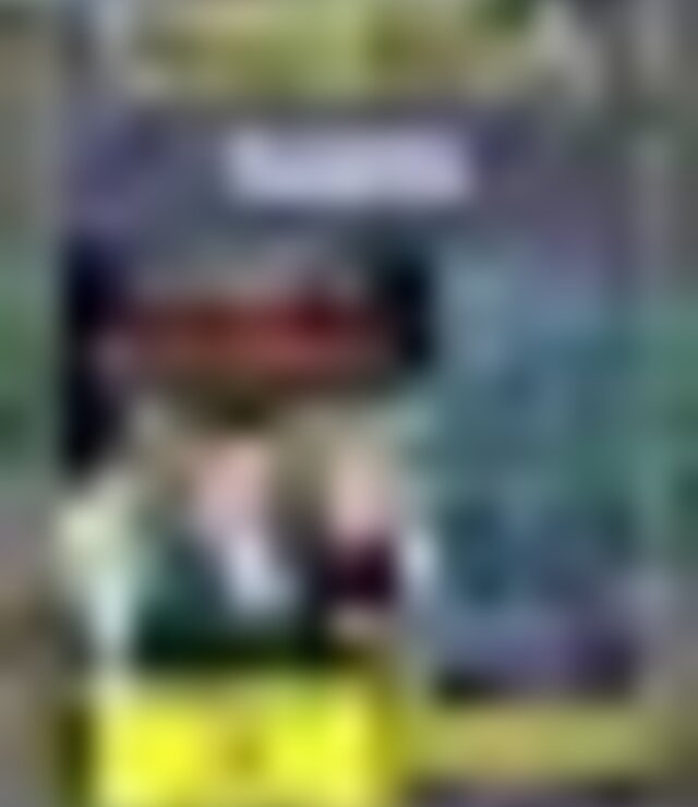 tiny_thumb_cartaz_filme_bandido