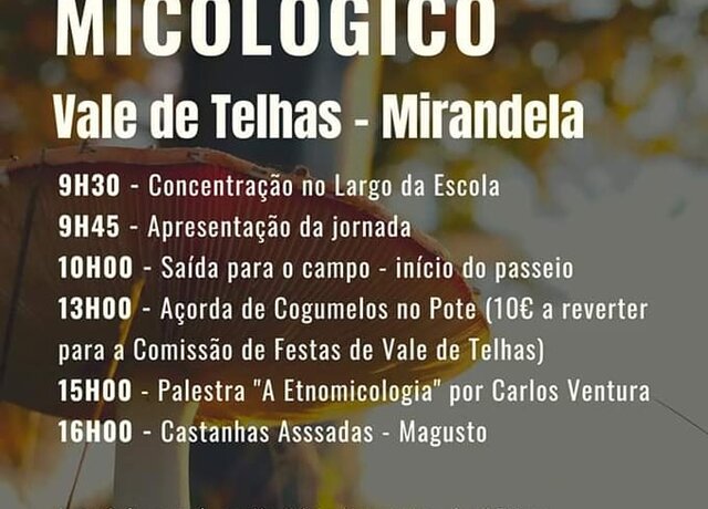 ii_passeio_micologico_de_vale_de_telhas
