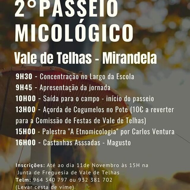 ii_passeio_micologico_de_vale_de_telhas