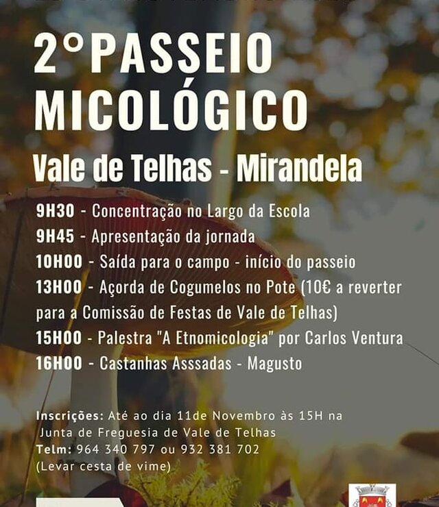 ii_passeio_micologico_de_vale_de_telhas
