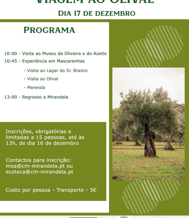 mascarenhas_1_
