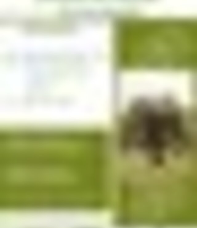tiny_thumb_mascarenhas_1_