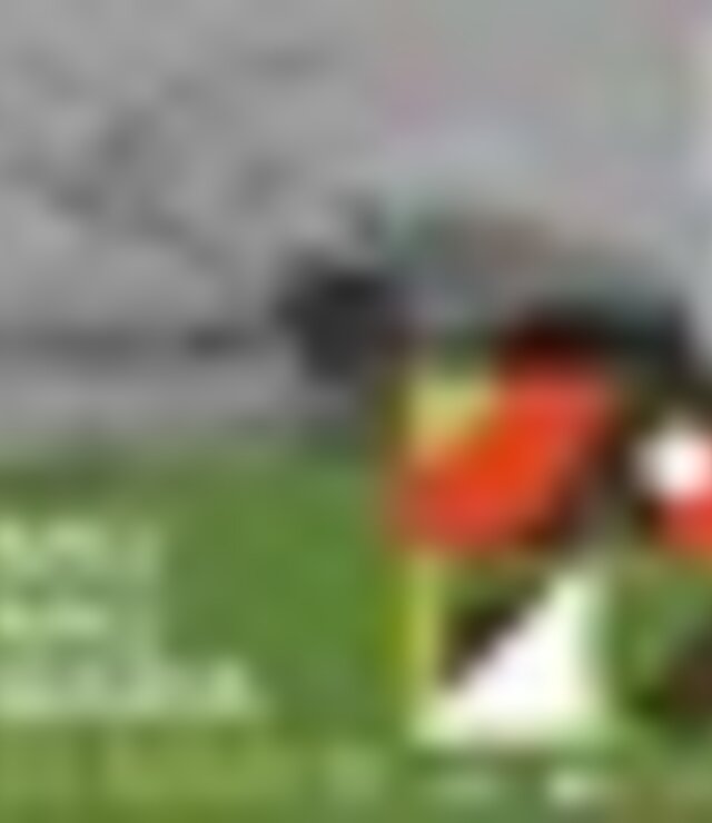 tiny_thumb_1x1_nau_nau_maria