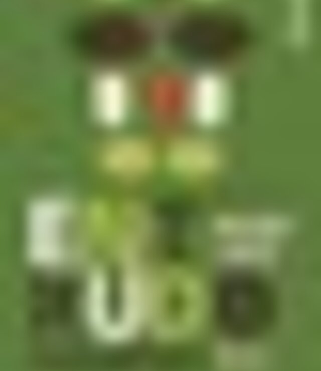 tiny_thumb_a3_entrudo_trapalhao_01