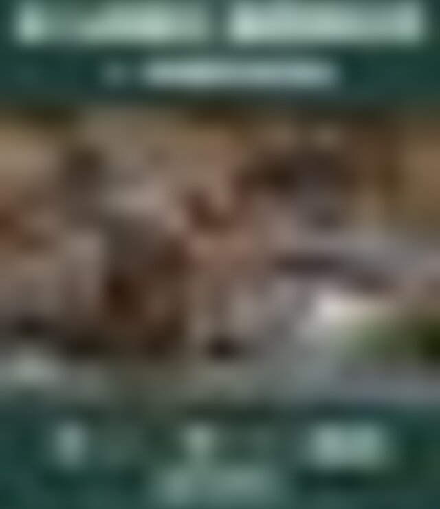 tiny_thumb_cartaz_lobo_ibeirco_23