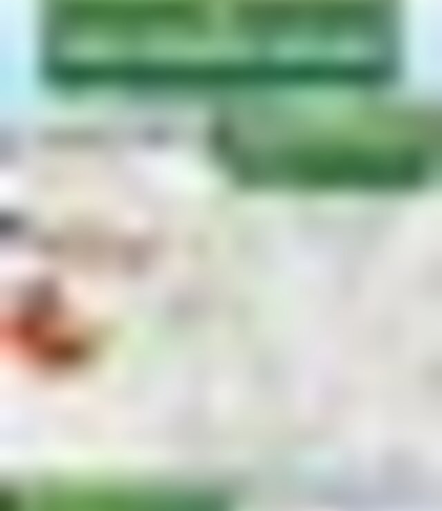 tiny_thumb_cartaz_passeio_pedestre_de_sao_pedro_velho_2023
