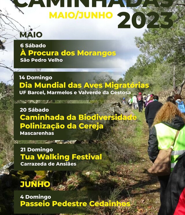 cartaz_caminhadas_maio_junho_23