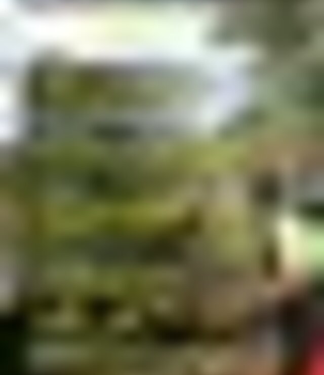tiny_thumb_cartaz_caminhadas_maio_junho_23