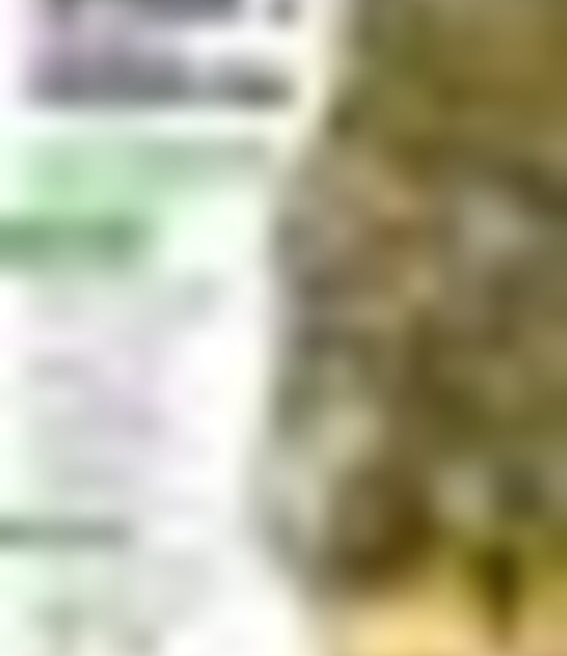 tiny_thumb_passeio_pedestre___vila_verdinho_1_980_2500