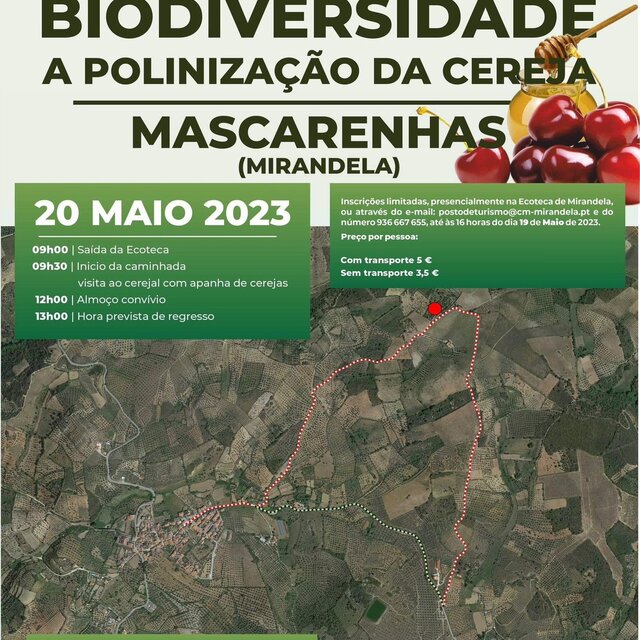 caminhada_da_biodiversidade___mascarenhas