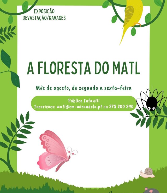 a_floresta_do_matl