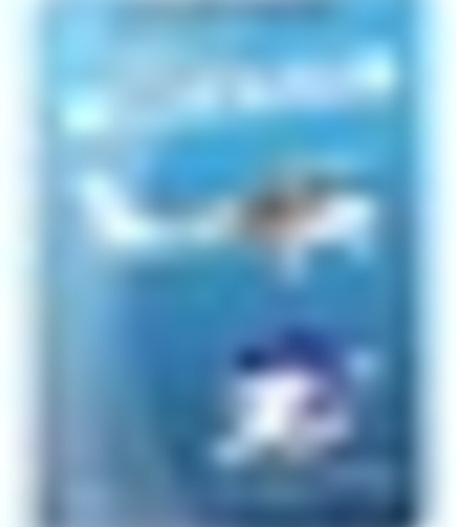tiny_thumb_Curso_de_Piloto_2016