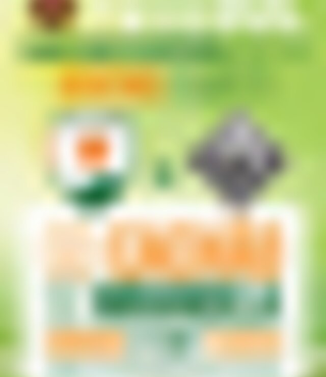 tiny_thumb_21_OUT_FUTEBOL_GDCach_o