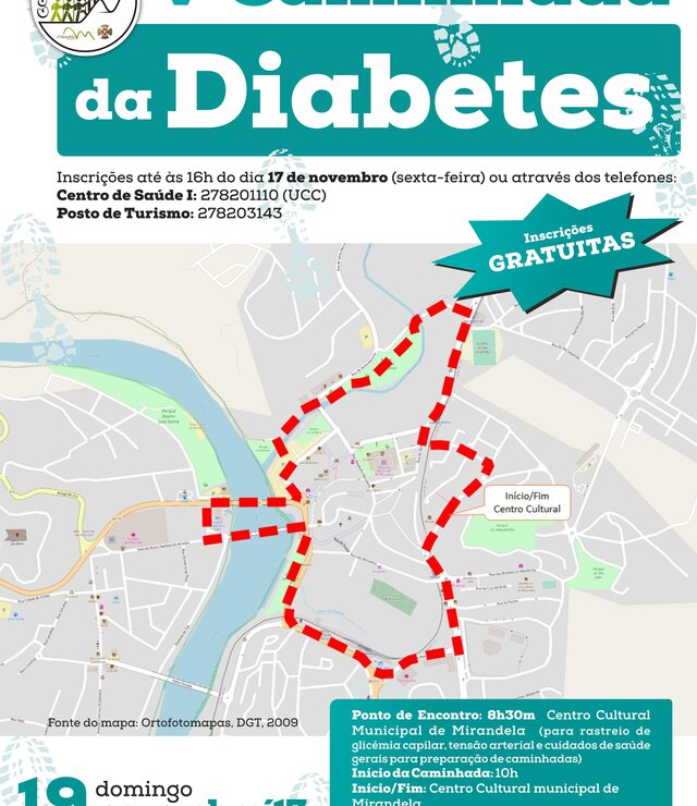 V_Caminhada_Diabetes_2017