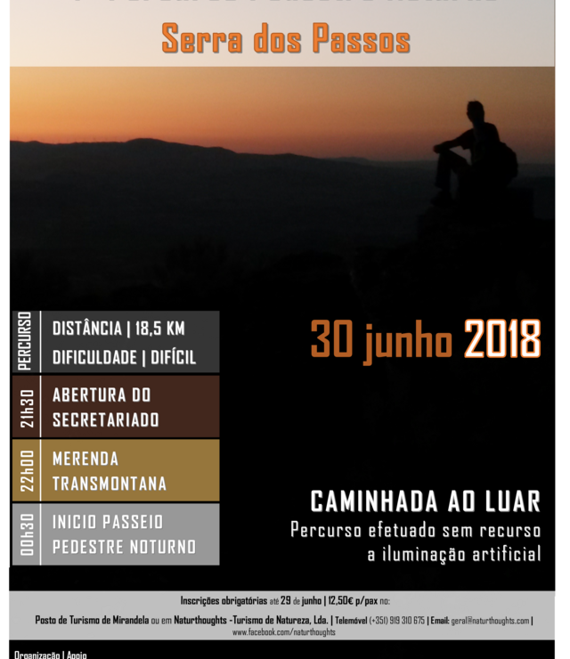 Cartaz_PP_Noturno_Passos2018_-_Final