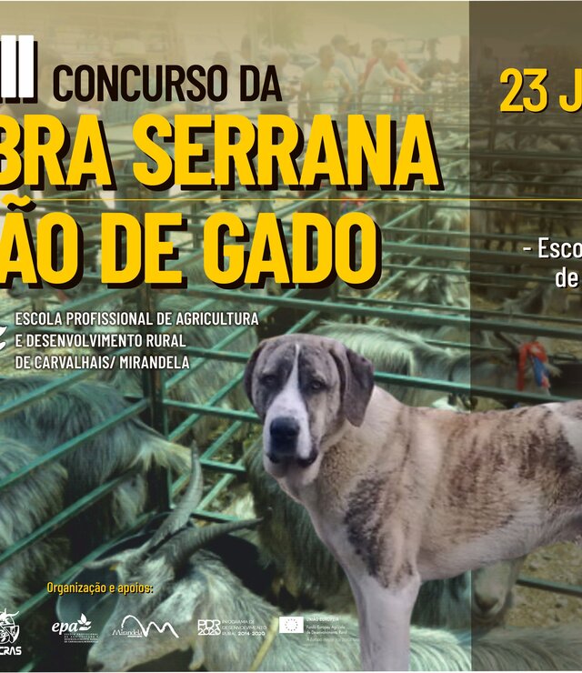 cartaz_XXVII_concurso_cabra_serrana_c_o_de_gado_18