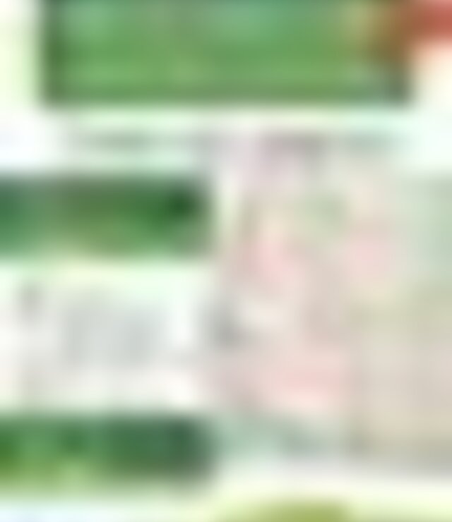 tiny_thumb_cartaz_PR6MDL_Trilho_da_Serra_do_Cubo_em_Barcel_2018