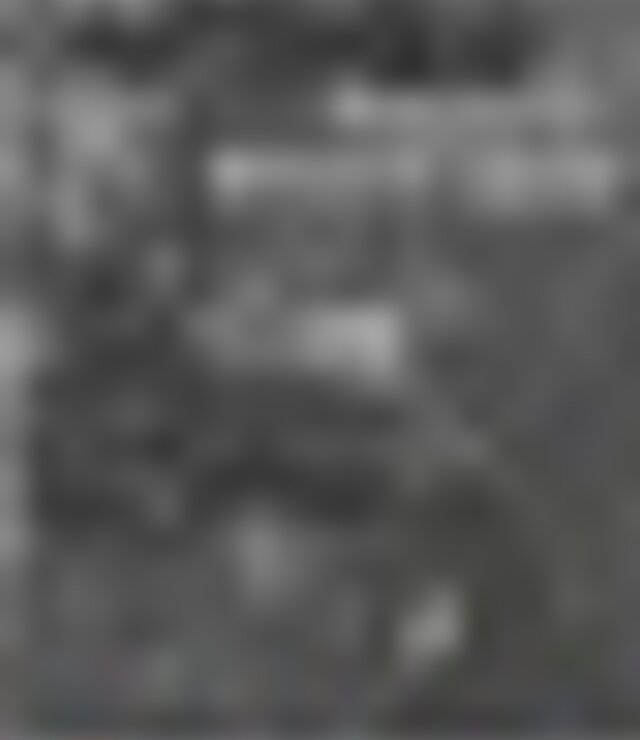 tiny_thumb_cartaz_Campsurvibe_18