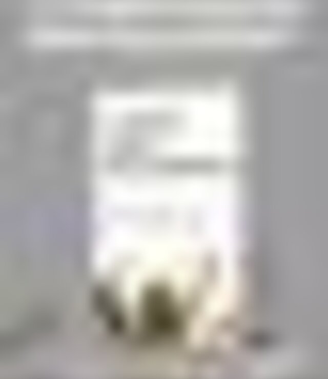 tiny_thumb_cartaz_apresenta__o_do_livro_O_vento_solto_nas_palavra_2018