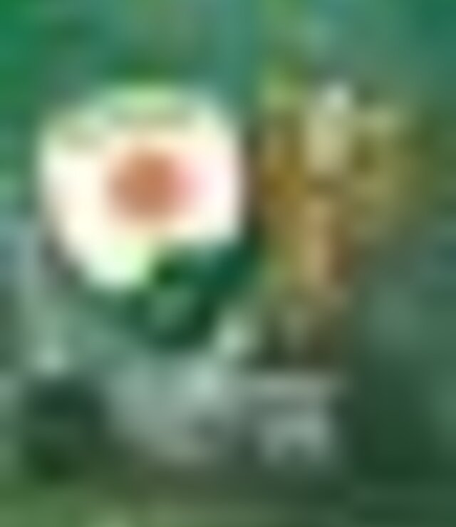 tiny_thumb_FUT_JUV_GDCACHAO_ADBARROSELAS