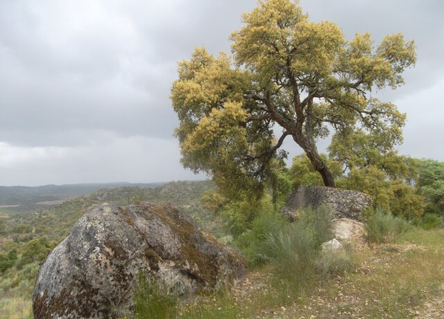 SICRomeu_RedeNatura2000