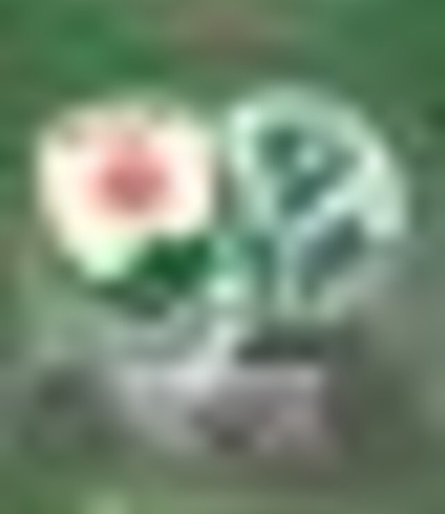 tiny_thumb_FUT_JUV_GDCACHAO_PALMEIRAS_FC_