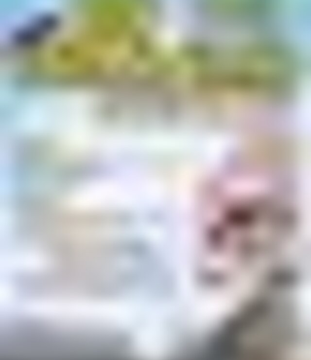 tiny_thumb_1F68A391-141B-4F53-ACD4-63AB1D1529F3