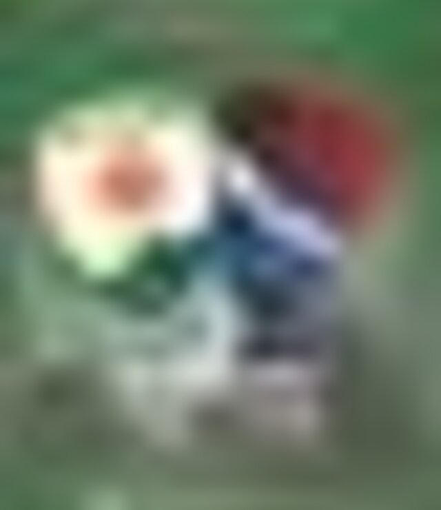 tiny_thumb_FUT_JUV_GDCACHAO_GIL_VICENTE_FC