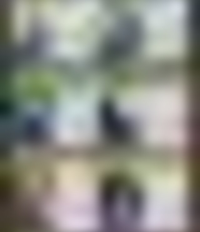 tiny_thumb_cinema_programa__o_mar_o_2019
