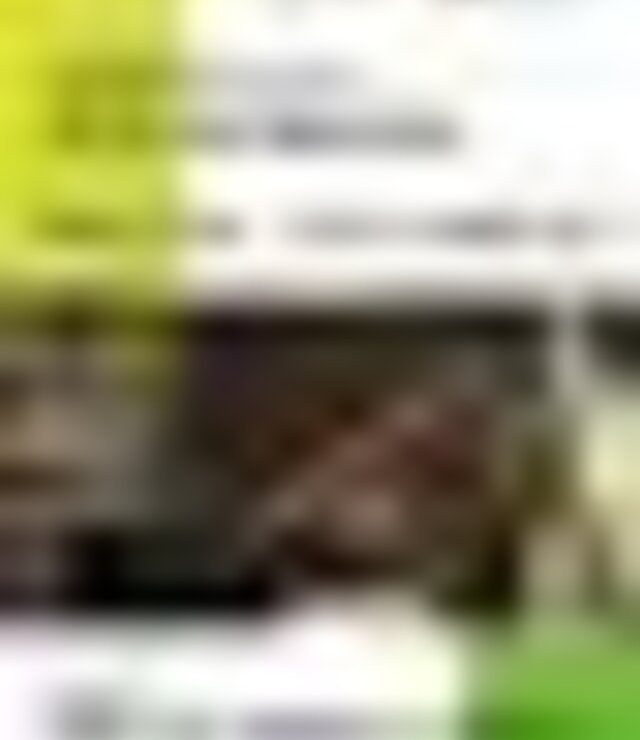 tiny_thumb_cartaz_panela_velha_2019