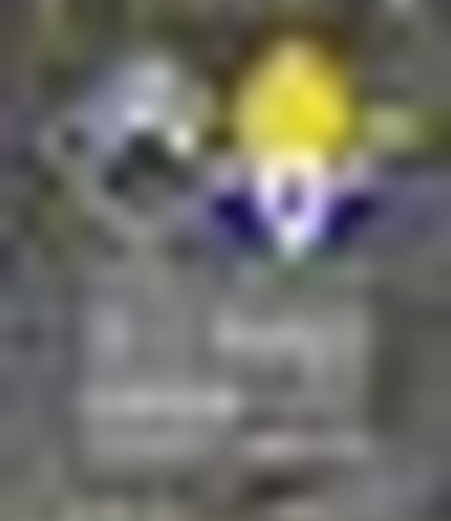 tiny_thumb_cartaz_jogo_campeonato_s_niores_A__SC_Mirandela_vs_JPedras_Salgadas