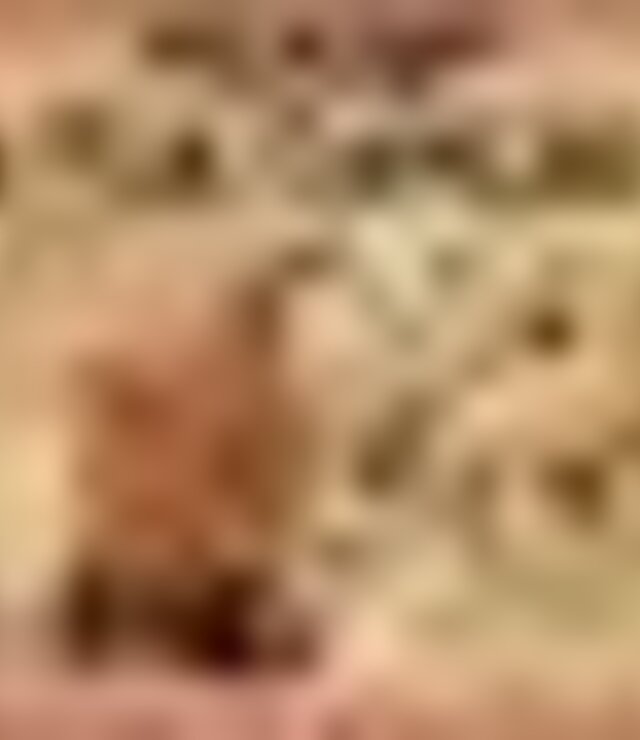 tiny_thumb_cartaz_hora_do_conto_maio_junho_2019