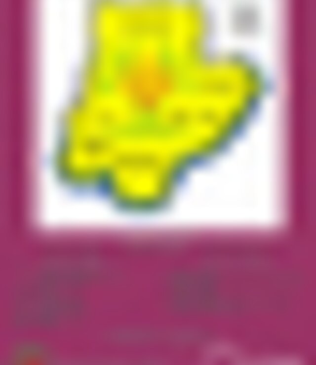 tiny_thumb_95_Anos_do_Corpo_Nacional_de_Escutas_Bragan_a_-_Miranda