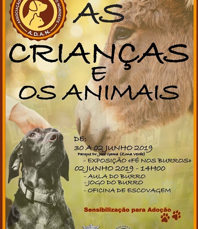 Exposi__o_F__nos_Burros