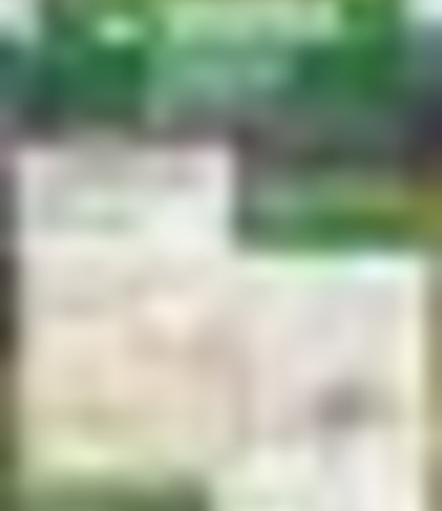 tiny_thumb_cartaz_Passeio_Pedestre_na_Serra_Passos