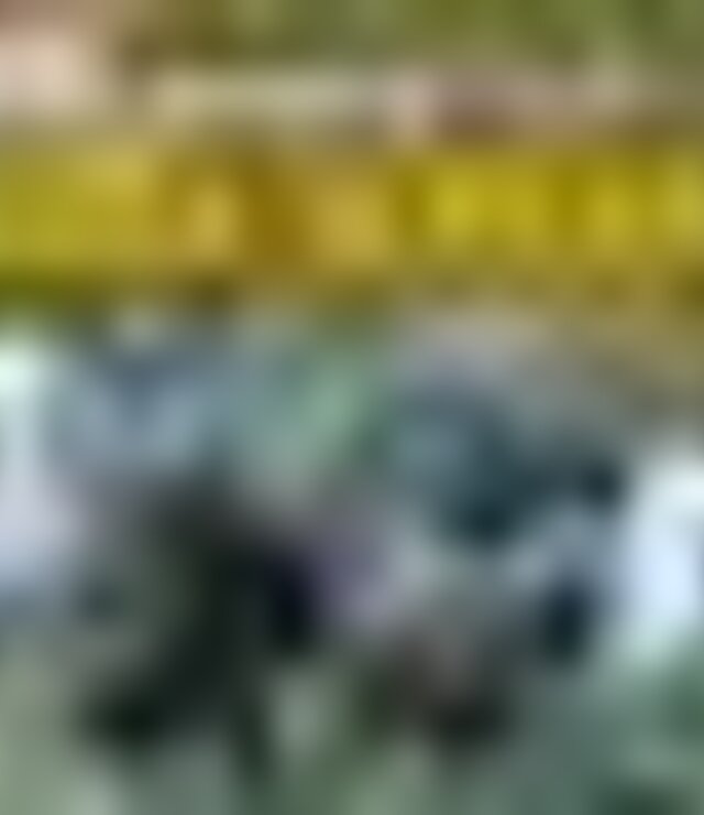 tiny_thumb_cartaz_XXIX_concurso_cabra_serrana_19