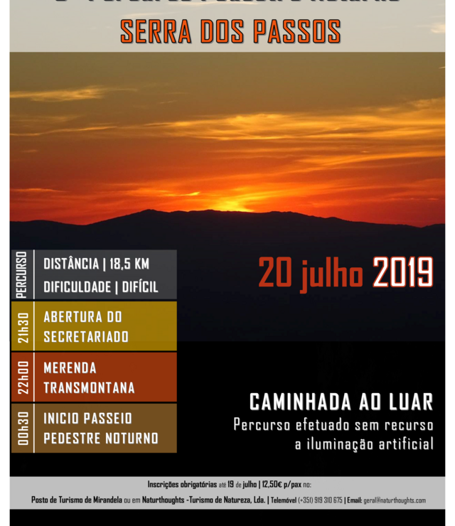 Cartaz_PP_Noturno_Passos2019_-_Final