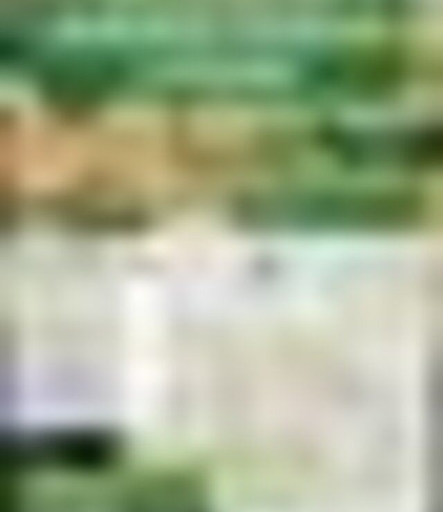 tiny_thumb_cartaz_Passeio_Pedestre_Navalho
