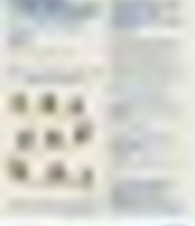 tiny_thumb_flyer_dia_europeu_sem_carros_frente_e_verso_1