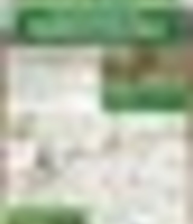 tiny_thumb_cartaz_passeio_pedestre_do_dia_mundial_do_turismo_de_franco_e_vila_boa_2019__