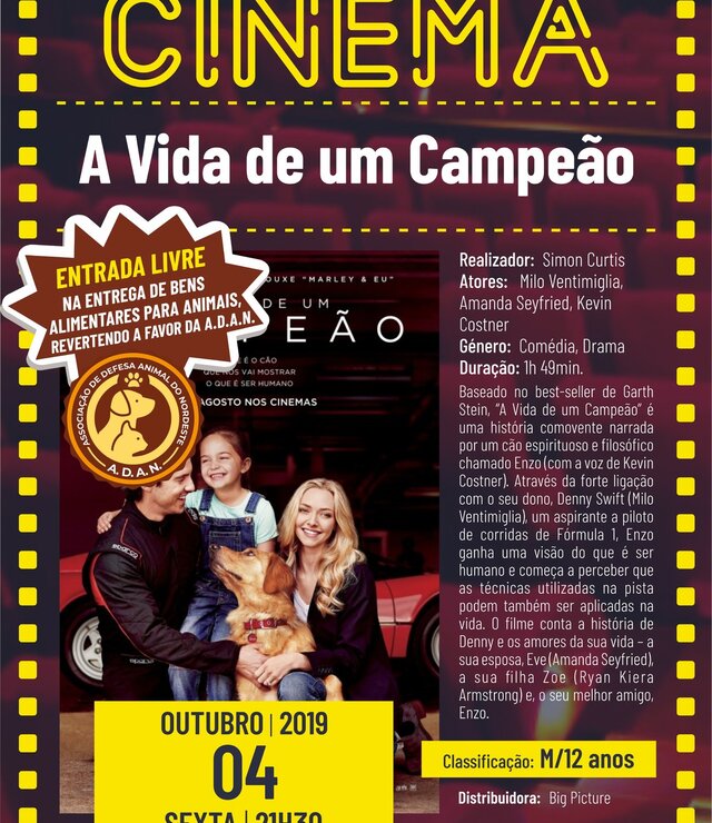 cartaz_filme_a_vida_de_um_campeao