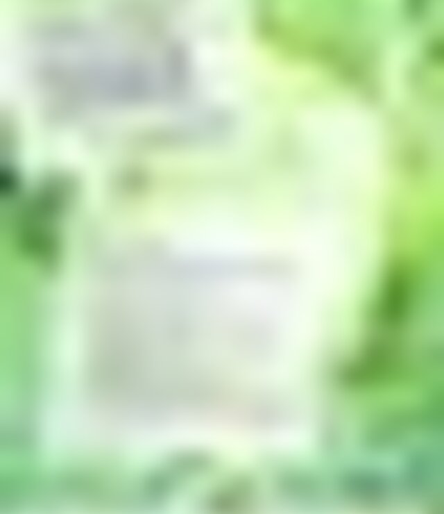 tiny_thumb_xvi_feira_couve_penca