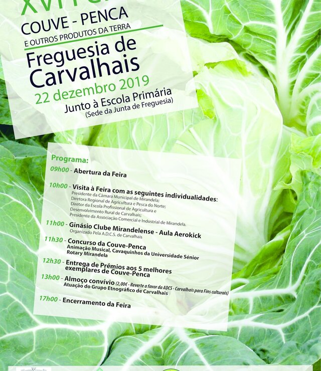 xvi_feira_couve_penca