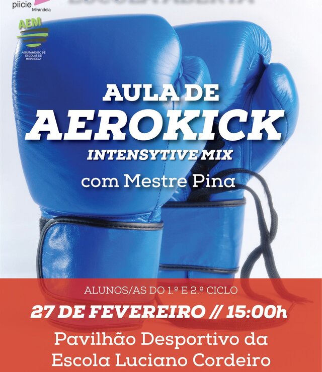 aerokick___piicie__01