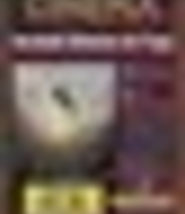 tiny_thumb_cartaz_filme_verdade_debaixo_de_fogo
