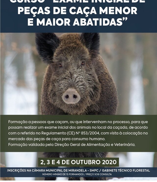 curso_caca_2020_01