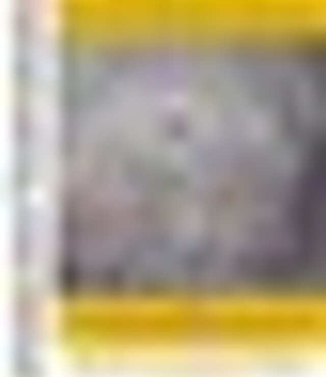 tiny_thumb_cartaz_exposicao_do_acervo_do_museu_no_matl_2020_2