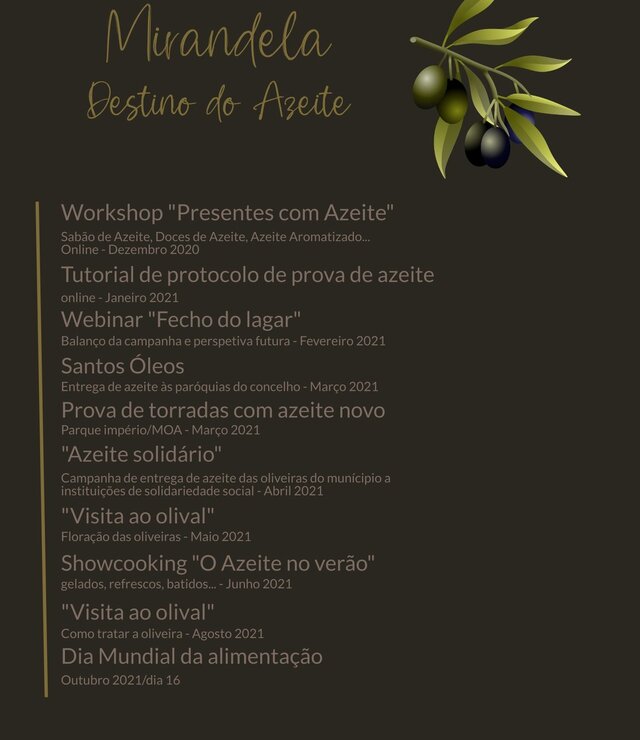 mirandela__destino_do_azeite